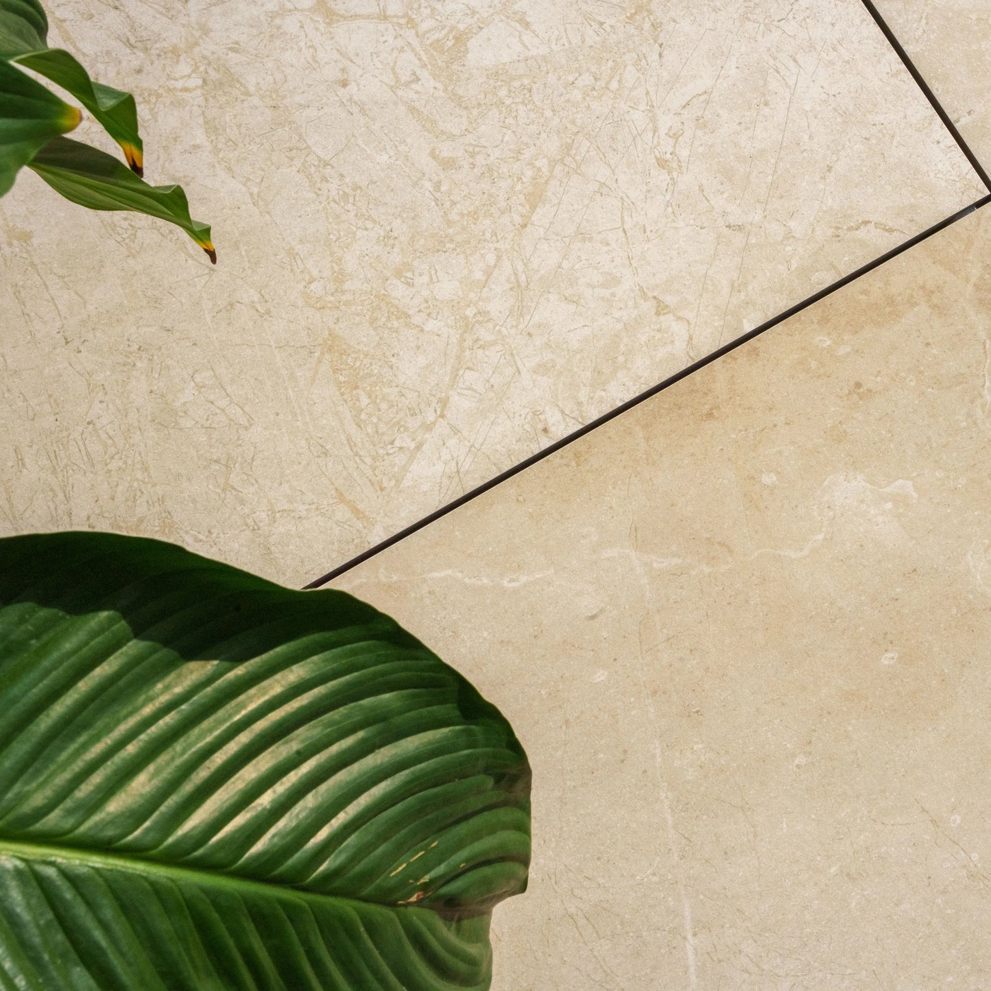 Komplettpaket Terrassenplatte Natural 60x60x2cm
