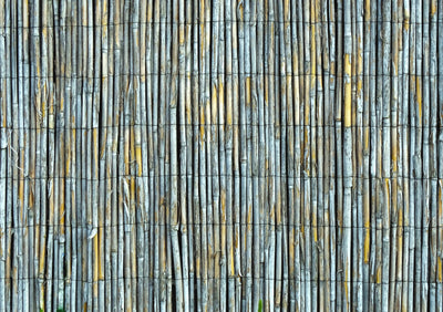 Bambus oder Schilfmatten als Sichtschutzzaun