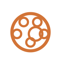 Vielfältige Designs und Formate
